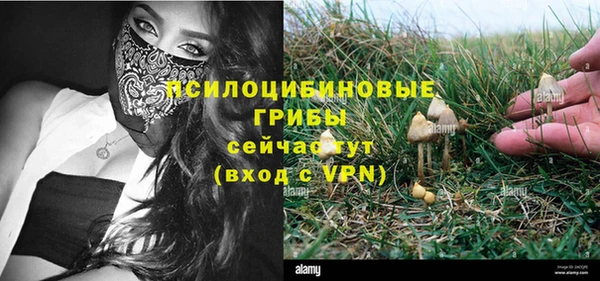 МДПВ Алексеевка