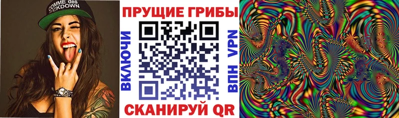 купить hydra зеркало Галлюциногенные грибы мицелий Нестеров